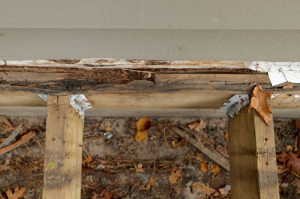 Tyler Wood Rot Repair