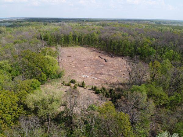 Tyler Land Clearing